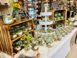 Neu Event GmbH Referenz--37